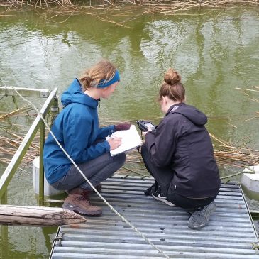 Water quality monitoring