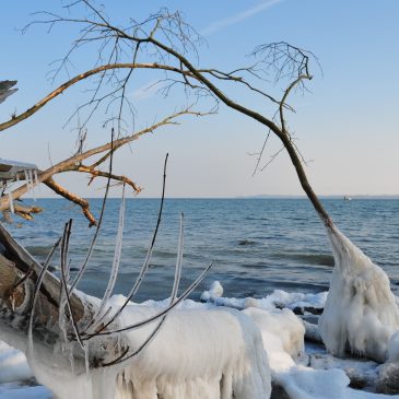 Ice and Snow covering the Island