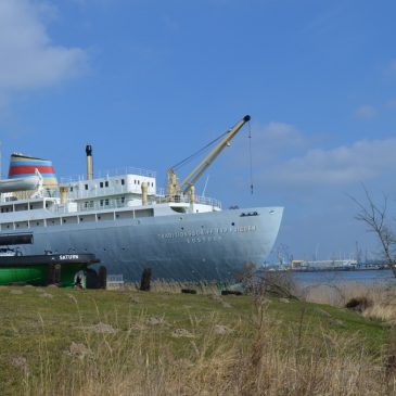 Floating wetlands open for public viewing