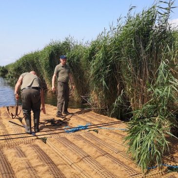 Plant development and new installation in Wolin National Park