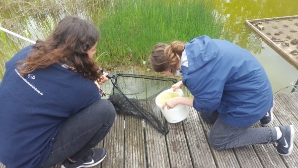 Young scientists at work